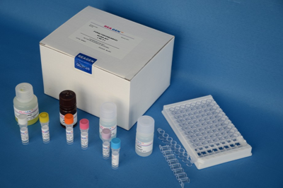 牛血红蛋白晚期糖基化终末产物(Hb-AGE)ELISA检测试剂盒-上海酶联第三方检测中心